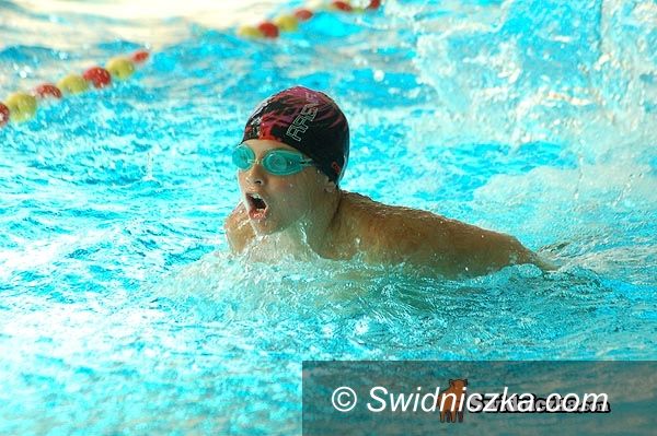 Świdnica: II Mistrzostwa Świdnicy w Pływaniu