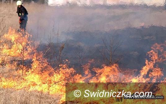 powiat świdnicki: Całonocna walka z pożarem, dwie kobiety w szpitalu