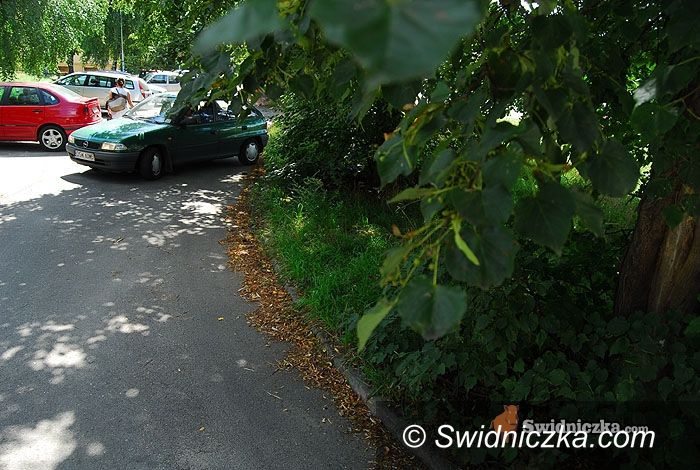 Świdnica: Przycinają drzewa, mieszkańcy Parkowej dojadą do domów bez problemów