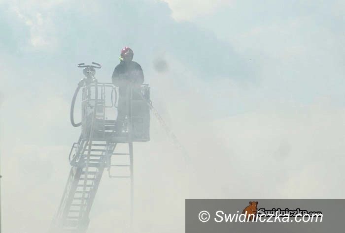 Świdnica: Nagrody dla strażaków walczących z żywiołem na Westerplatte