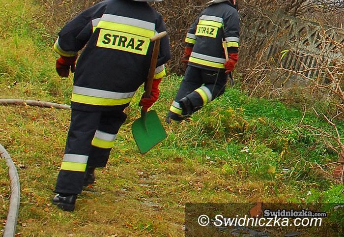 Witoszów Dolny/Świdnica: Pięciu strażaków i jeden cywil – grupa podpalaczy ujęta