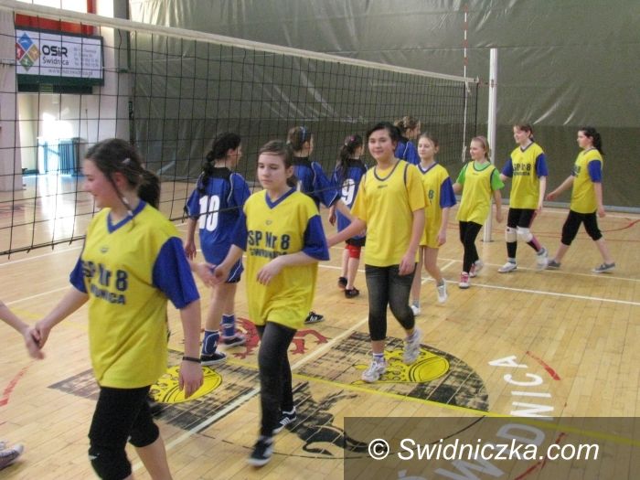 Świdnica: Turniej mini siatkówki dla uczennic SP 1