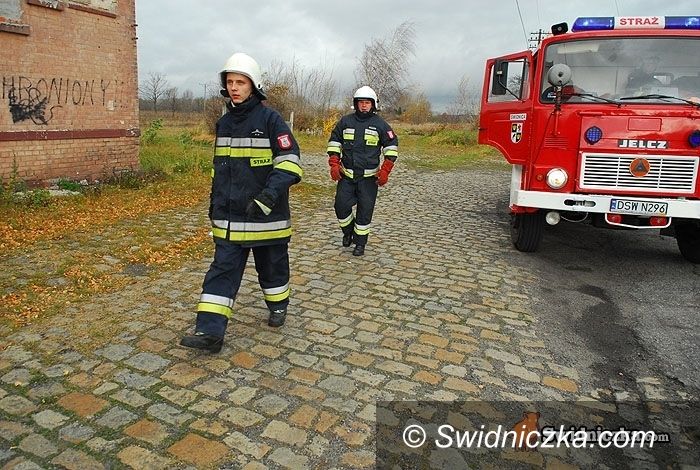powiat świdnicki: Z pracy strażaków: świeczka na komodzie, sarna w rzece