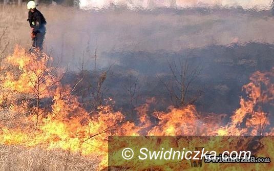 Świdnica: Wiosna idzie, płoną trawy, a strażacy apelują o rozsądek