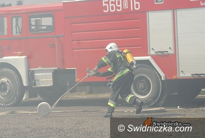 powiat świdnicki: Cztery dni – czterdzieści dwa pożary traw