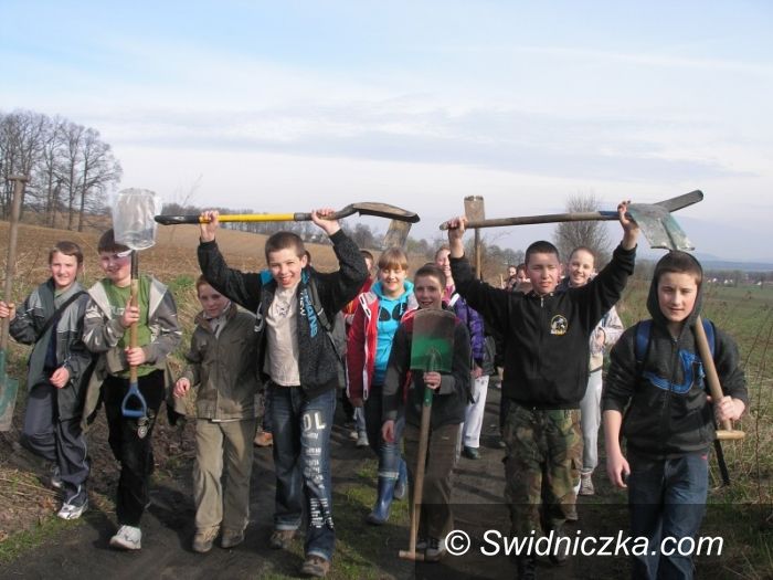 Mokrzeszów: Młodzi ekolodzy z Mokrzeszowa sadzą lasy