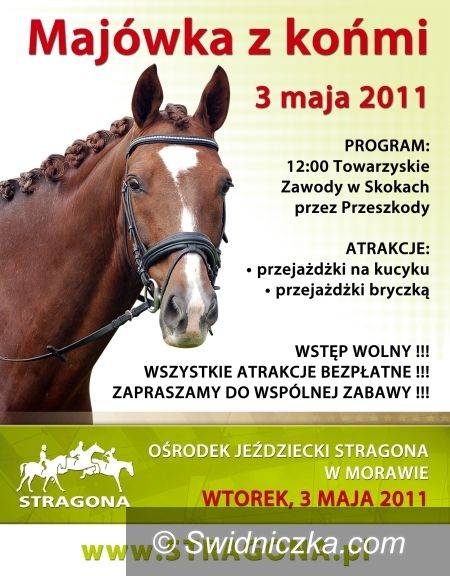 Morawa: Majówka z Końmi w Morawie