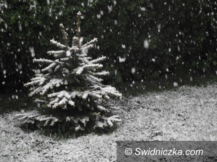 Dolny Śląsk: Pada śnieg, pada śnieg... [zobacz: foto, video, ostrzeżenie meteo]