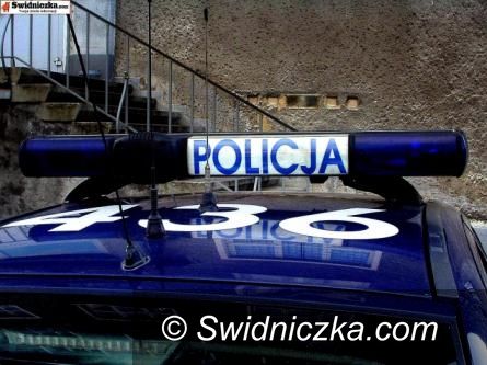 Dolny Śląsk: Policjanci podsumowali akcję ,,Bezpieczne Wakacje 2012’’