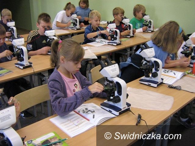 Świdnica: Nauka bez ławek w Szkole Podstawowej nr 6 w Świdnicy