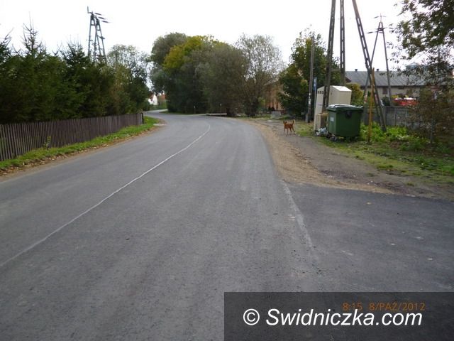 powiat świdnicki: 0,5 km wyremontowanej drogi przybyło powiatowi