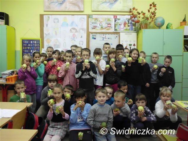 Gmina Strzegom: Owoce w szkole