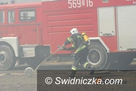 Świdnica: Pożar w mieszkaniu przy ul. Sprzymierzeńców, zginęła ośmiomiesięczna dziewczynka!