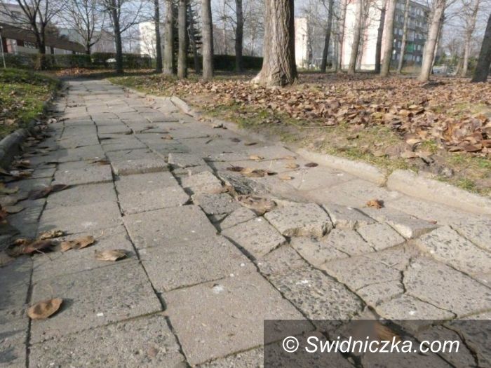 Świdnica: Rusza wycinka drzew, które zagrażają pieszym