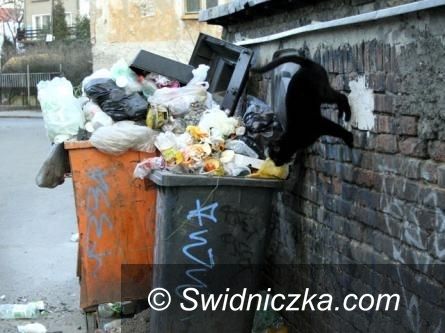 Świebodzice/Kraj: Protest w sprawie uchwały śmieciowej