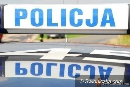 Dobromierz: Kradli szyny kolejowe na terenie gminy Dobromierz