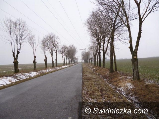 powiat świdnicki: Wycinki krzaków przy drodze powiatowej Jaroszów–Mikoszowa–Łażany