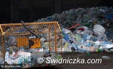 Świdnica: „Rewolucja śmieciowa” – deklaracje do końca kwietnia