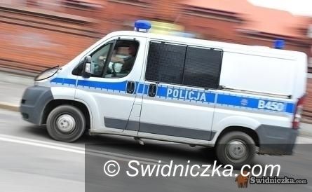 Dolny Śląsk: Akcja "Niechronieni uczestnicy ruchu drogowego"
