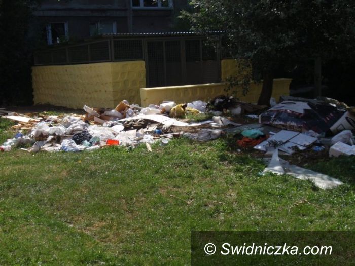 Świdnica: „Rewolucja śmieciowa w Świdnicy” – jak wygląda porządek przy ul. Zamenhofa?