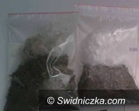 Wałbrzych: Policjanci zabezpieczyli prawie 2800 porcji narkotyków