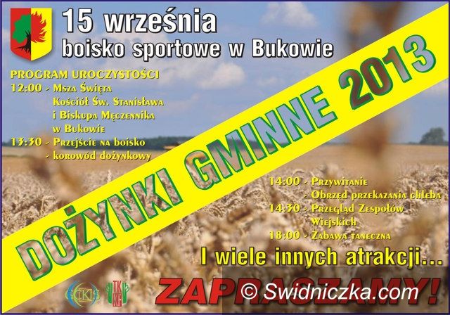 Gmina Żarów: Za plony rolnicy podziękują w Bukowie