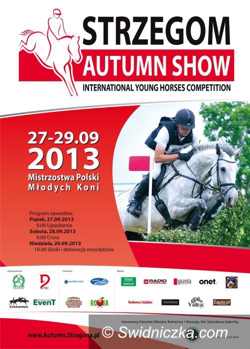Morawa: Strzegom Autumn Show już w piątek