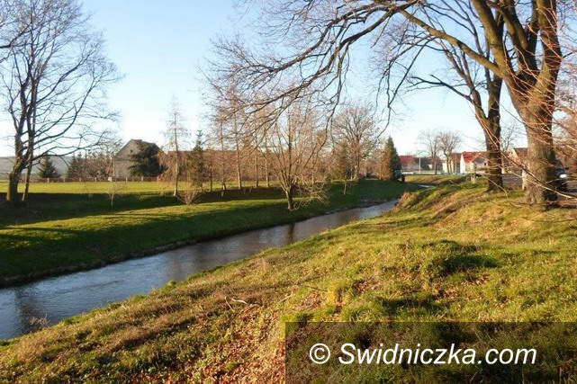 Gmina Dobromierz: Zadbano o koryto rzeki