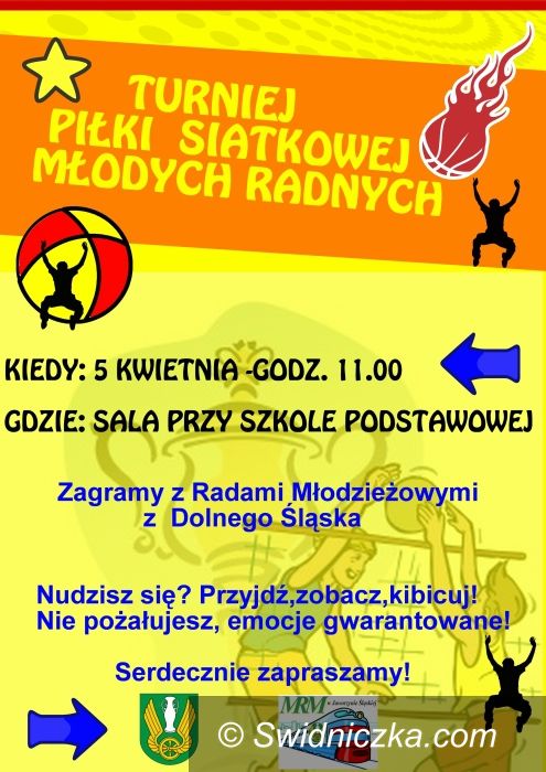 Jaworzyna Śląska: Siatkarski turniej młodych samorządowców