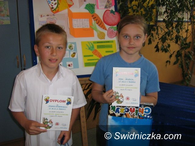 Świdnica: Międzyszkolny konkurs promujący zdrowy styl życia