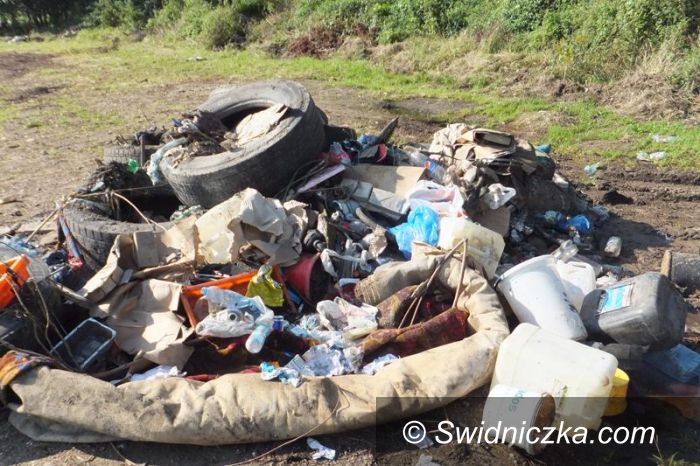 Mrowiny: Wyrzucali śmieci do lasu