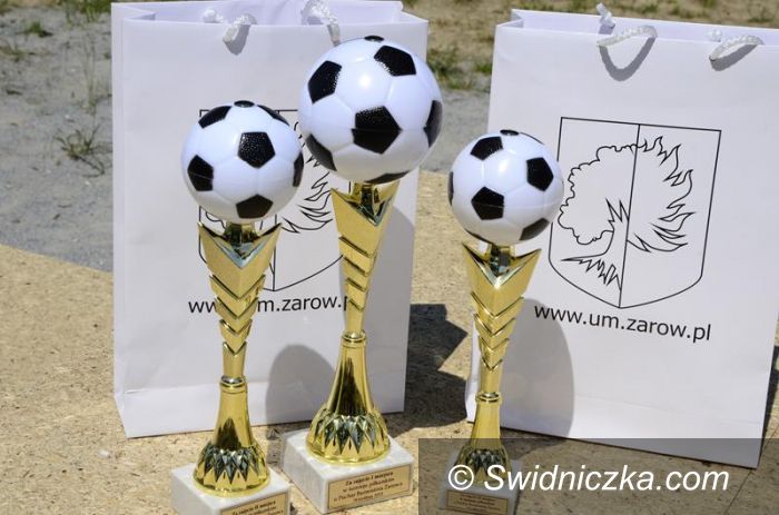 Wierzbna: Grali o Puchar burmistrza Żarowa