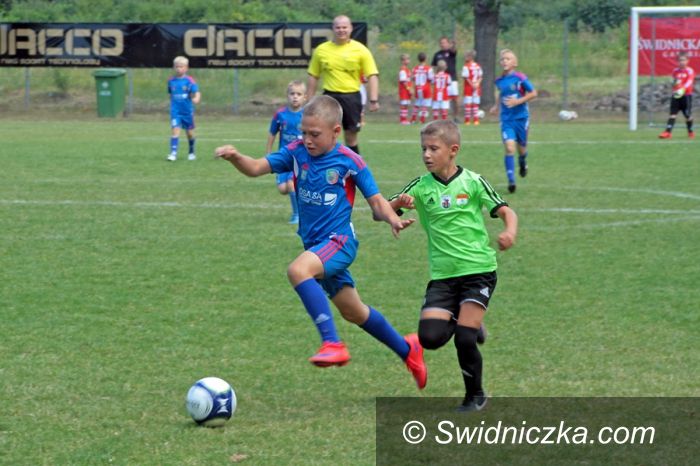Świdnica: IX Międzynarodowy Turniej Piłkarski Silesian Cup 2015 rozpoczęty