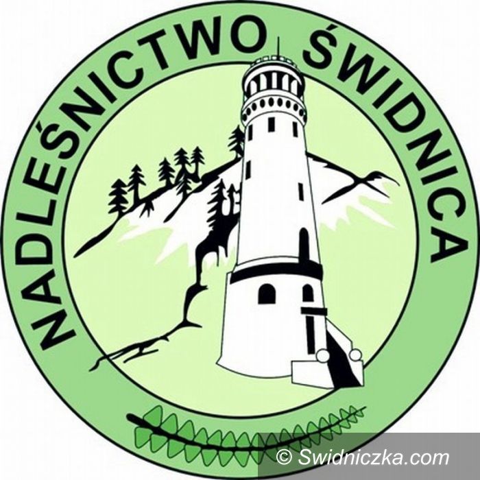 Świdnica/Region: Zakaz wstępu do lasu w Nadleśnictwie Świdnica