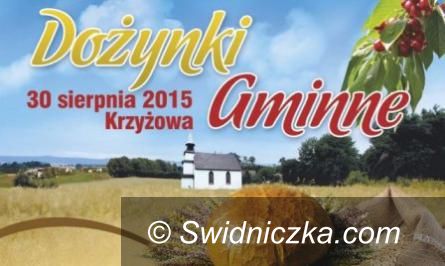 powiat świdnicki: Sportowe weekendy na wsi 2015 zakończone
