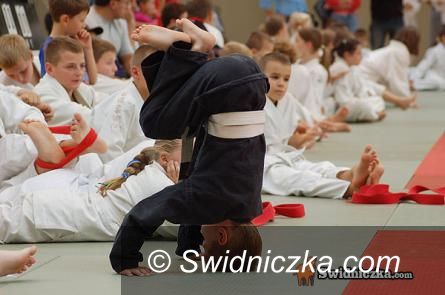 Jaworzyna Śląska: Zapraszamy na treningi judo