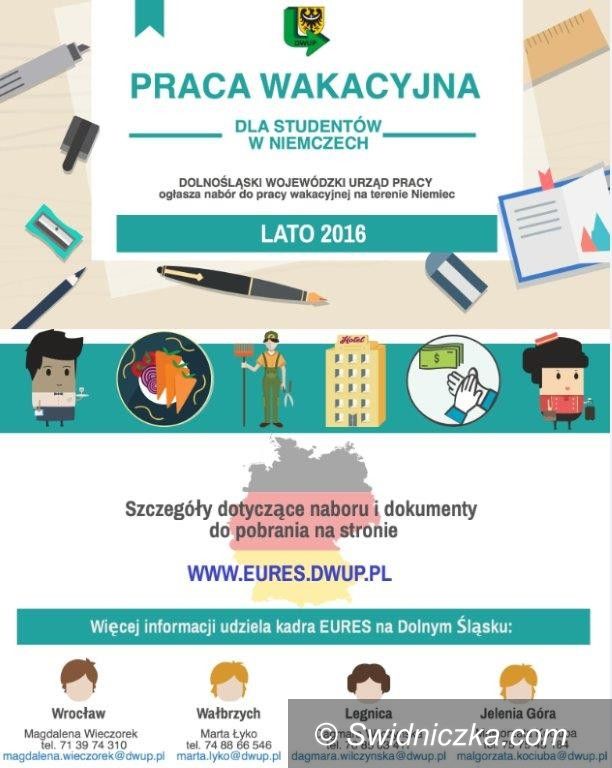 Świdnica/Region: Oferta dla studentów