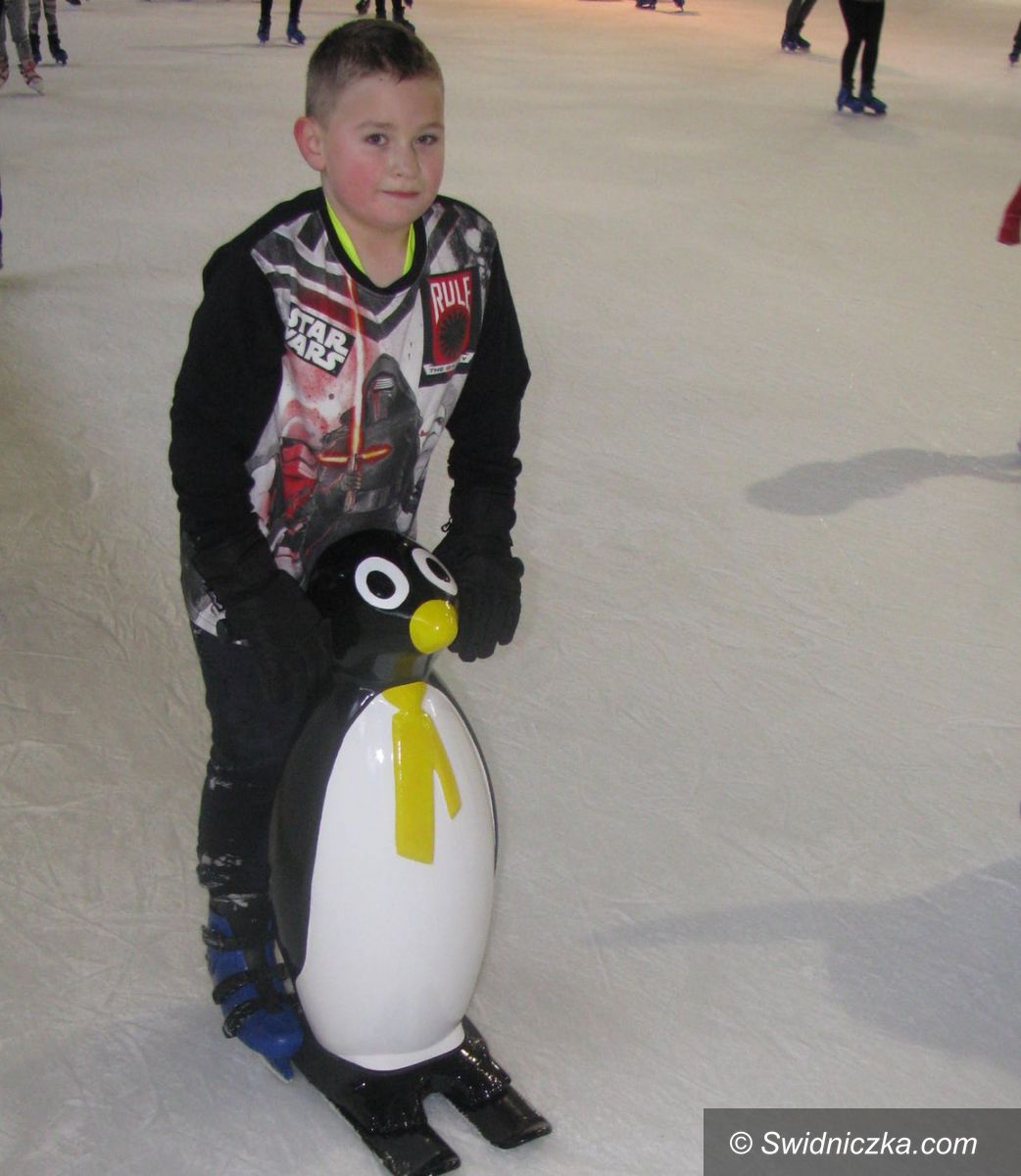 Świdnica: Pingwinki czekają na najmłodszych