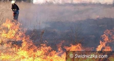 Region: Strażacy przestrzegają przed wypalaniem traw