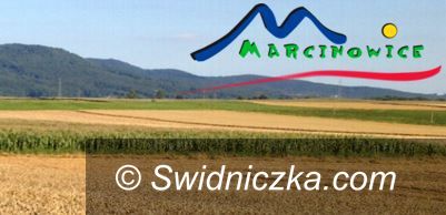 Marcinowice: Prace społecznie użyteczne w gminie Marcinowice