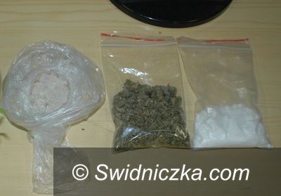 Świdnica: 935 porcji handlowych narkotyków nie trafi na rynek
