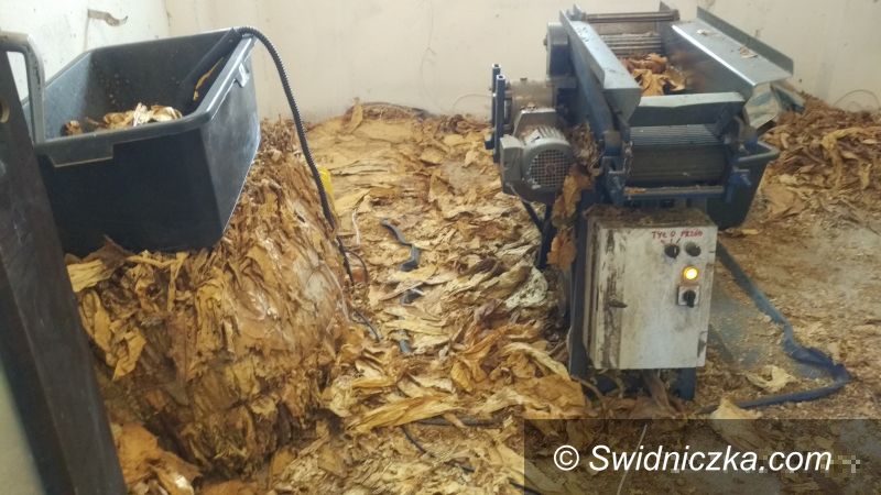 powiat świdnicki: Nielegalna wytwórnia krajanki tytoniowej zlikwidowana
