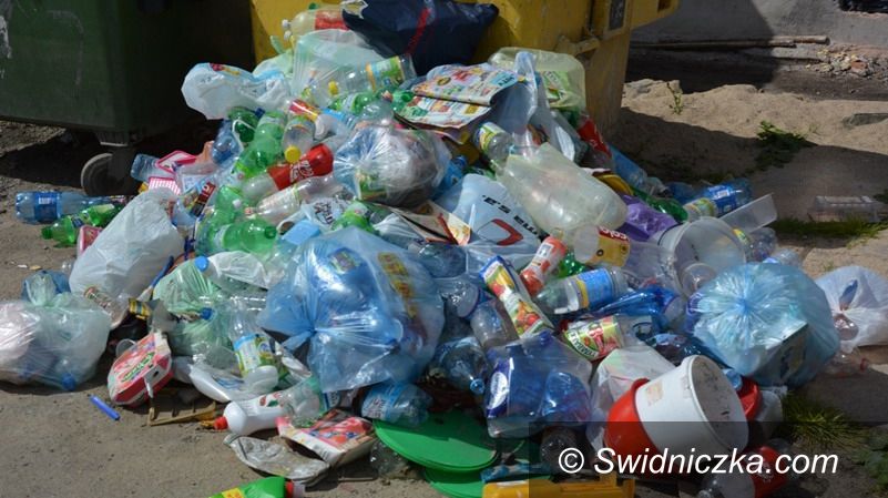 Strzegom: Kary za niesegregowanie śmieci. Są już pierwsze zgłoszenia