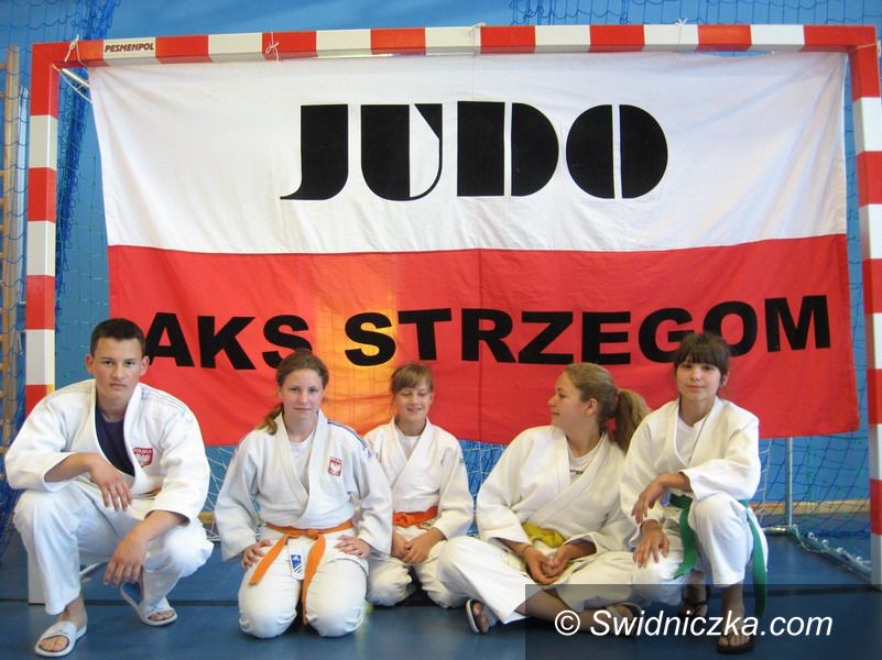 Strzegom: Sukcesy judoków w Żórawinie