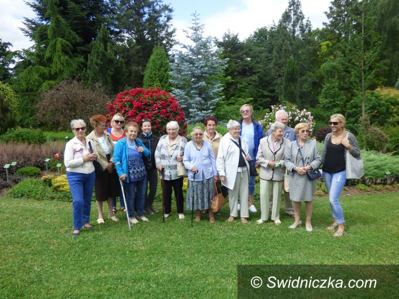 Strzegom: Seniorzy w Arboretum w Wojsławicach