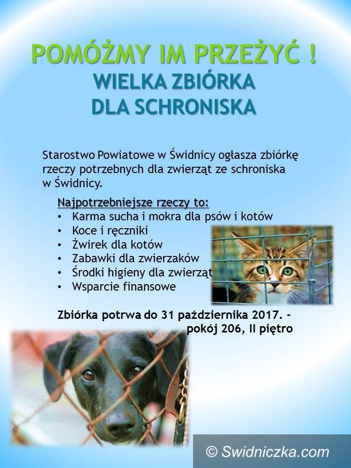 Świdnica/powiat świdnicki: Wielka zbiórka dla zwierzaków