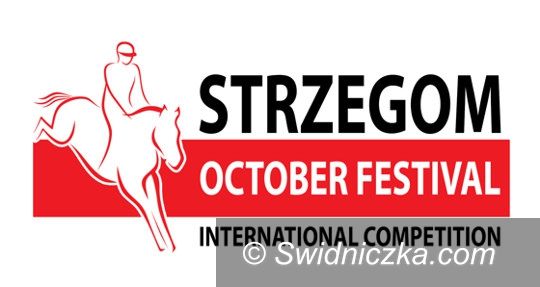 Strzegom: ACTIVO–MED Strzegom October Festival