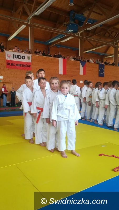 Strzegom: Judocy Tatami w Czechach