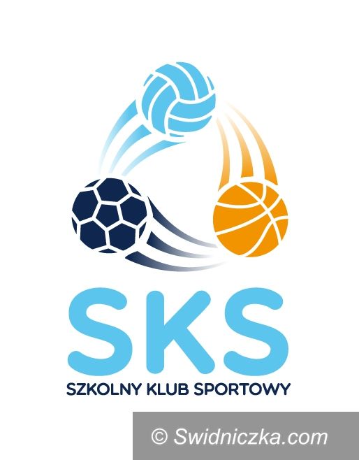 Gmina Świdnica: Dodatkowe zajęcia sportowe dla uczniów