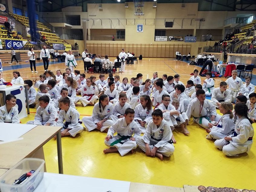Świebodzice: Mistrzostwa Dolnego Śląska Taekwondo odbyły się w Świebodzicach